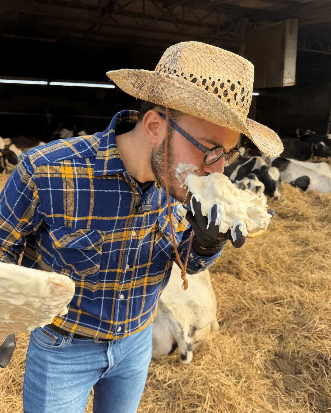 Uomo con cappello di paglia che assaggia formaggio fresco in stalla con mucche sullo sfondo, C'era Una Volta, Trecate
