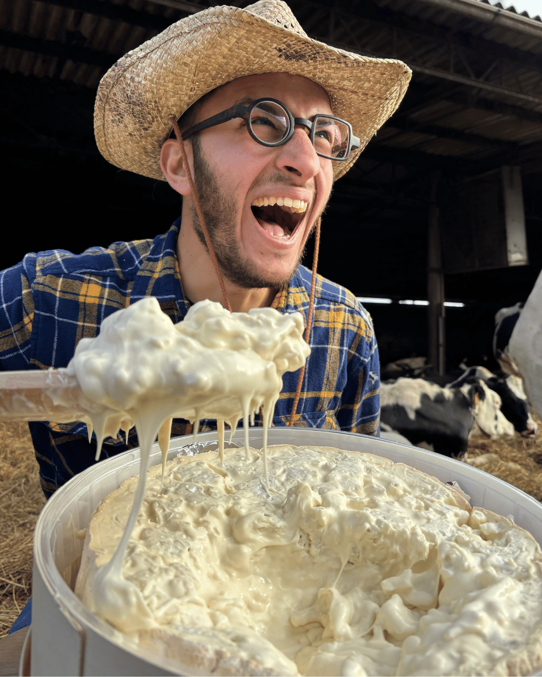 Gorgonzola al Cucchiaio