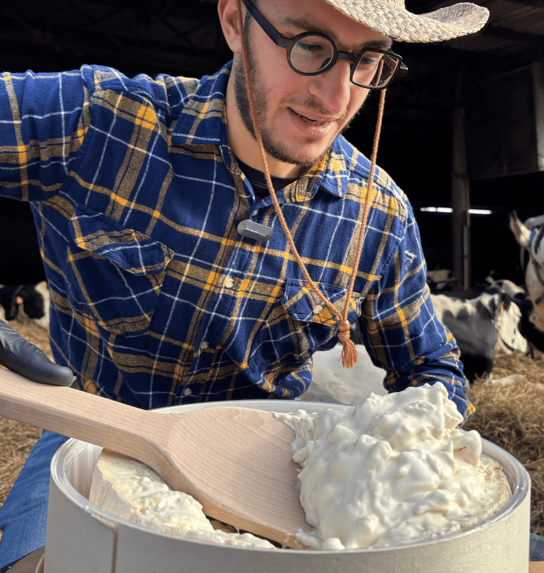 Gorgonzola Cremoso DOP