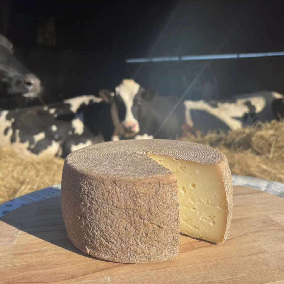 Toma di Cascina Artigianale