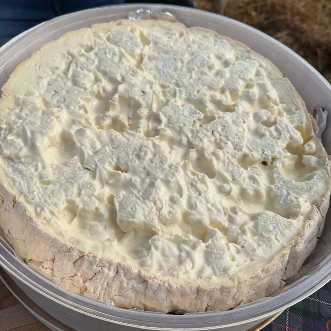 Gorgonzola DOP Dolce al Cucchiaio