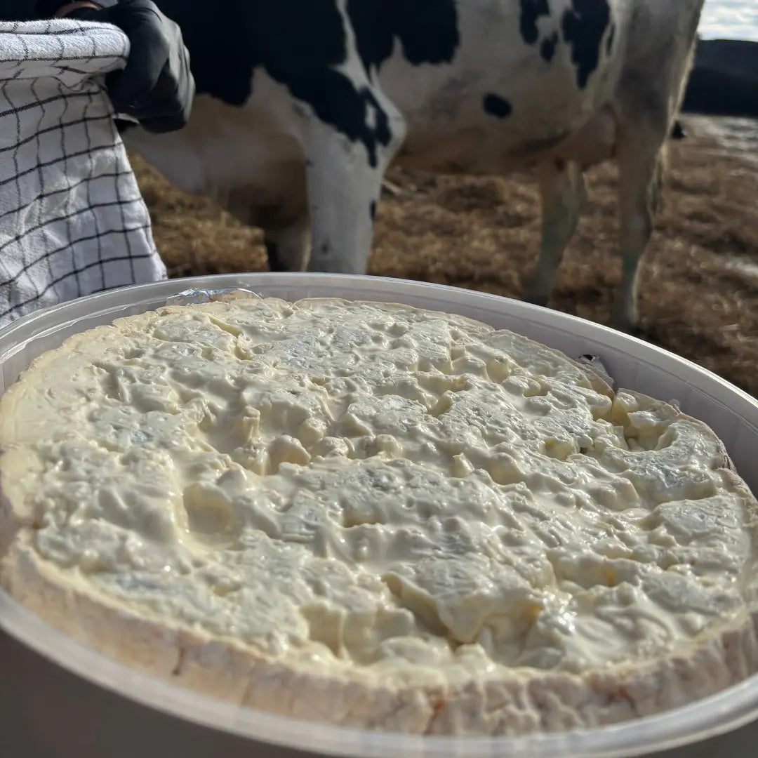 Gorgonzola DOP Dolce al Cucchiaio