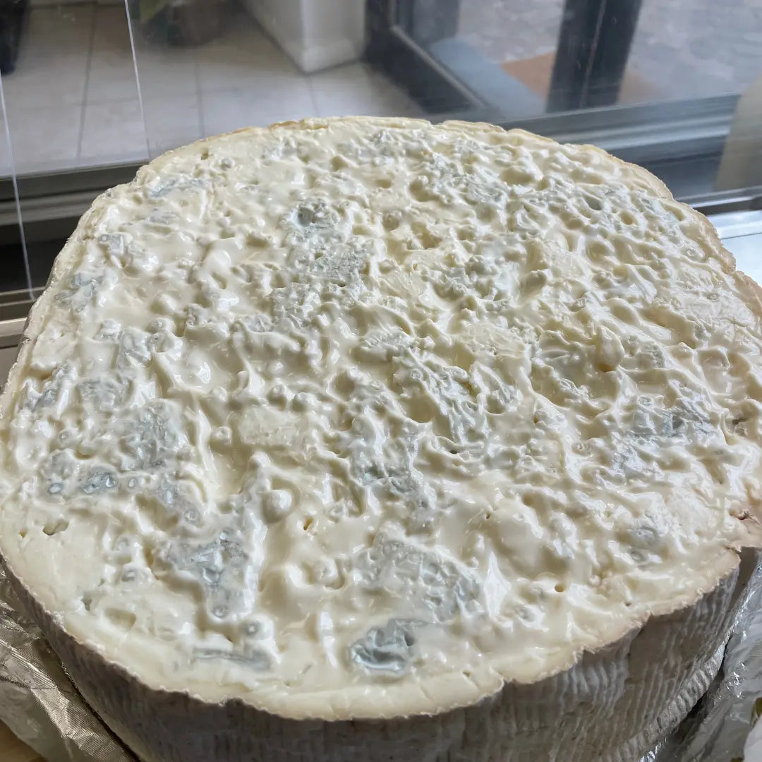 Gorgonzola DOP Dolce al Taglio