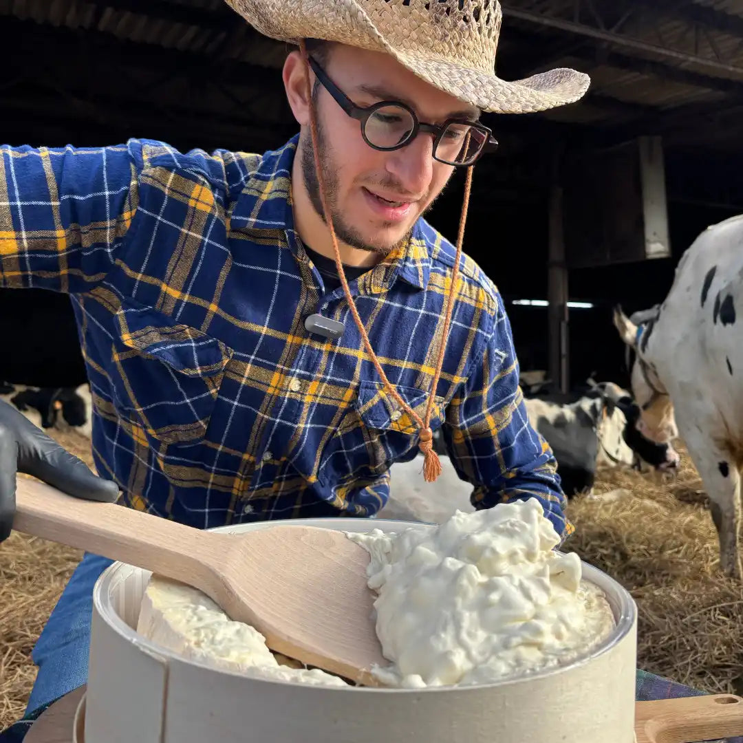 Gorgonzola DOP Dolce al Taglio