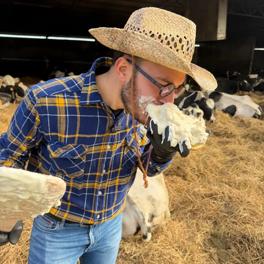 Gorgonzola DOP Dolce al Taglio