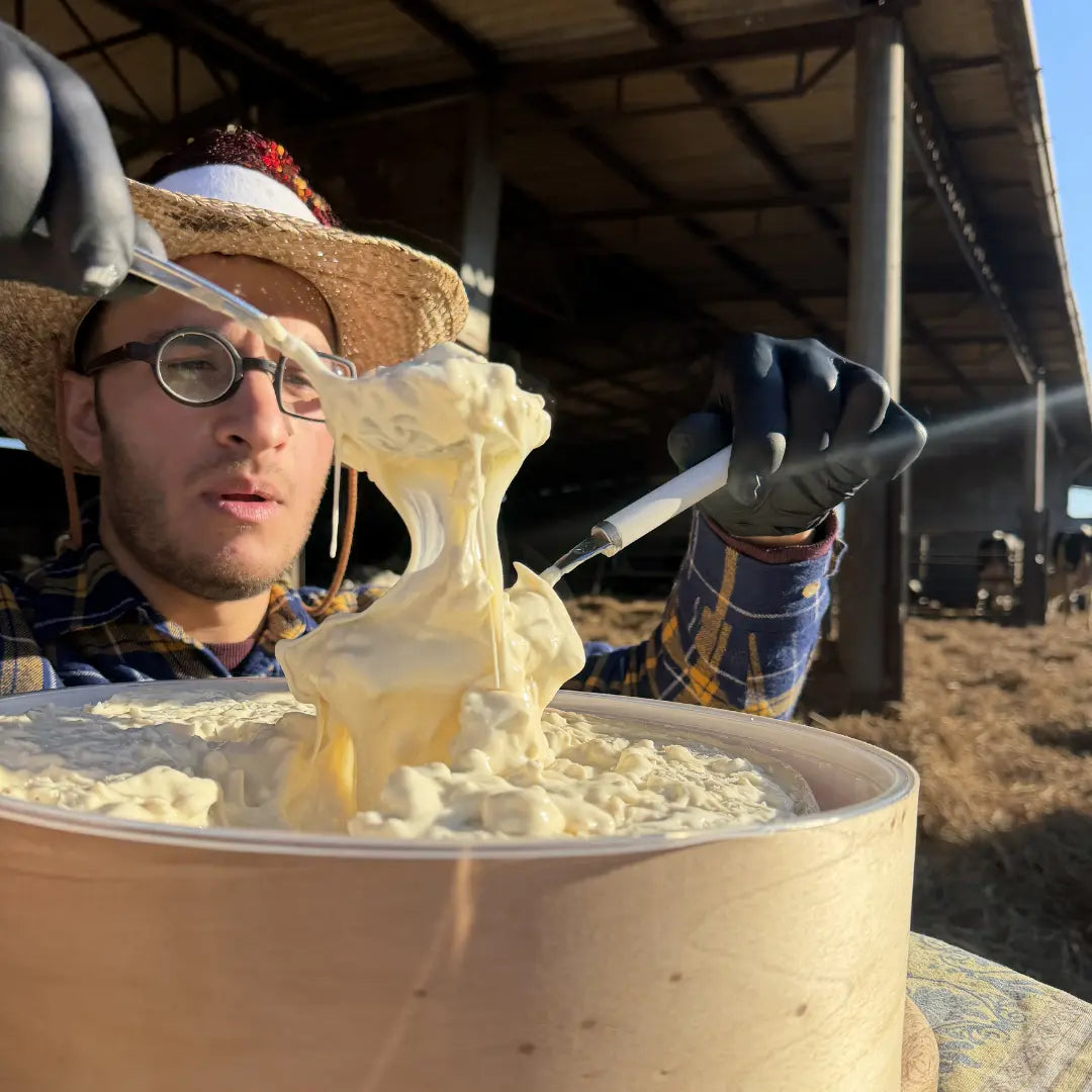 Gorgonzola DOP Dolce al Cucchiaio